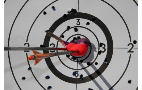 Tir à l'oiseau et porte ouverte du 28/03/26