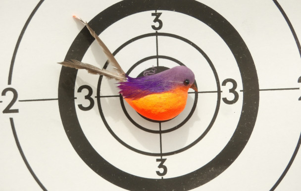 RAPPEL : TIR A L'OISEAU 28/03/26 AU PLATEAU DE CHENOVE